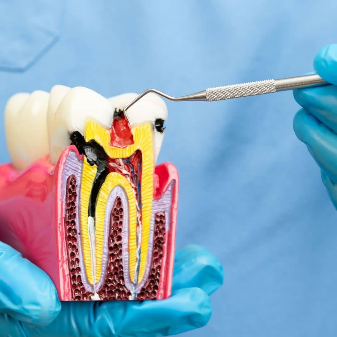 Dale House Dental patient smiling